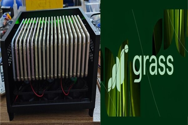 Giới thiệu sơ lược về Boxphone và Grass