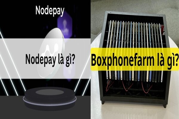 Giới thiệu sơ lược về Nodepay và Boxphonefarm