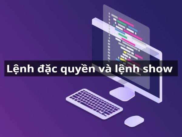 Lệnh đặc quyền (Privilege Commands) và lệnh show trên Router