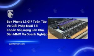 Box Phone Là Gì Toàn Tập Về Giải Pháp