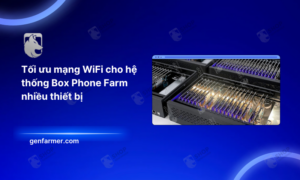 Tối ưu mạng WiFi cho hệ thống Box Phone Farm nhiều thiết bị