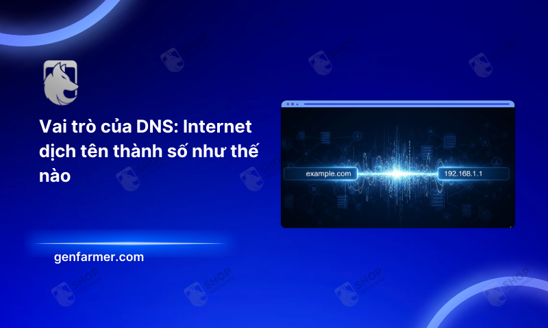 the role of dns