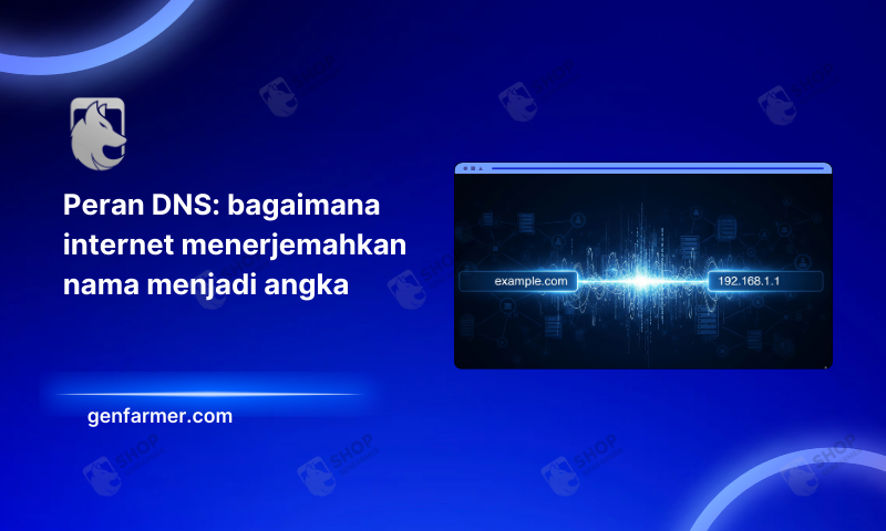 the role of dns