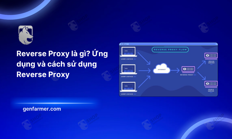 reverse proxy
