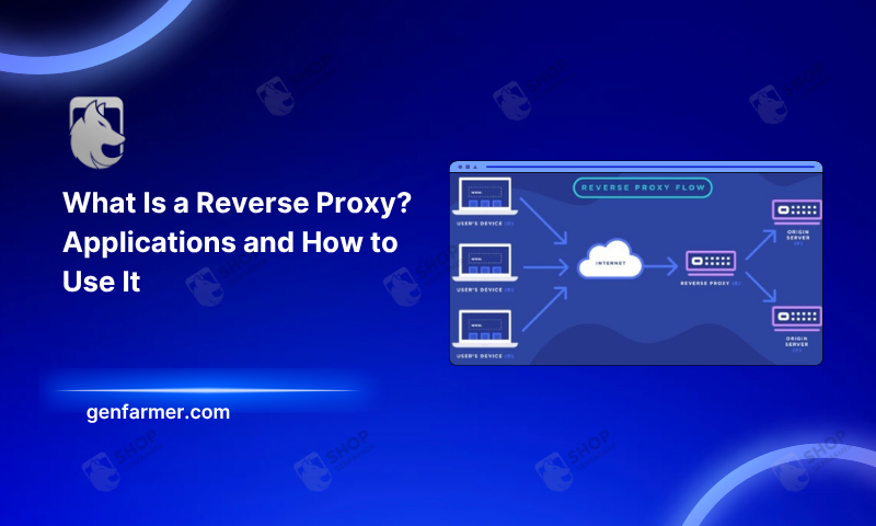 reverse proxy