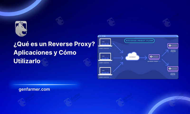 reverse proxy