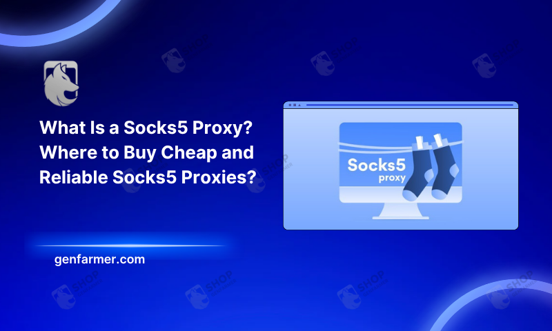 socks5 proxy