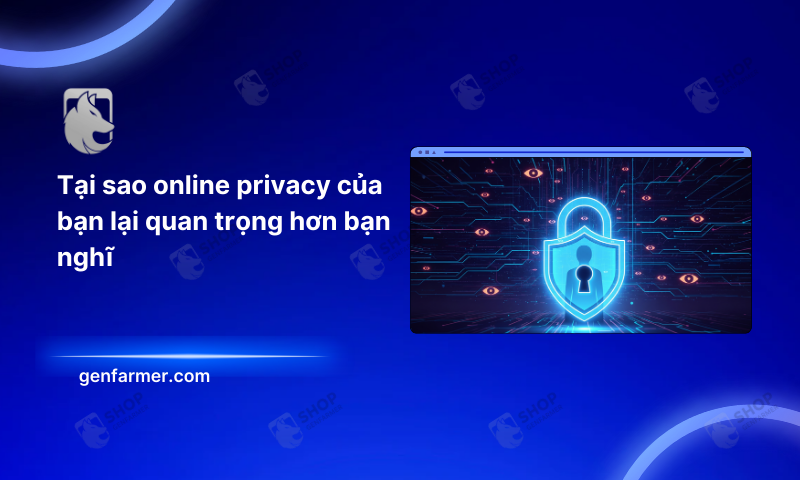 Online Privacy