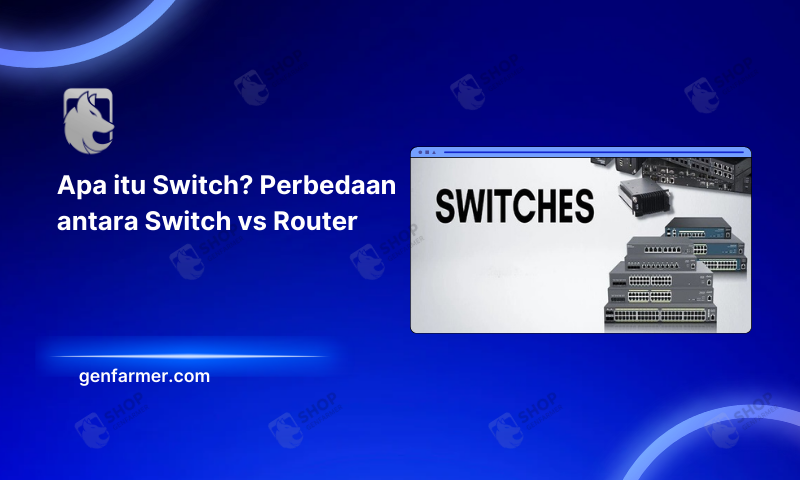 switch vs router