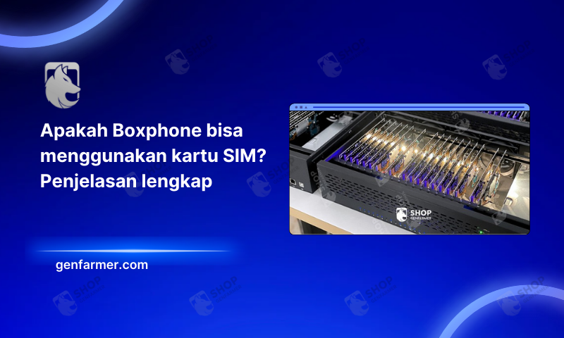 Boxphone support SIM cards