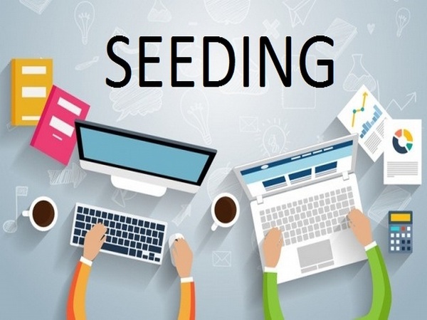 Seeding Comment là gì? Seeding Comment là gì?